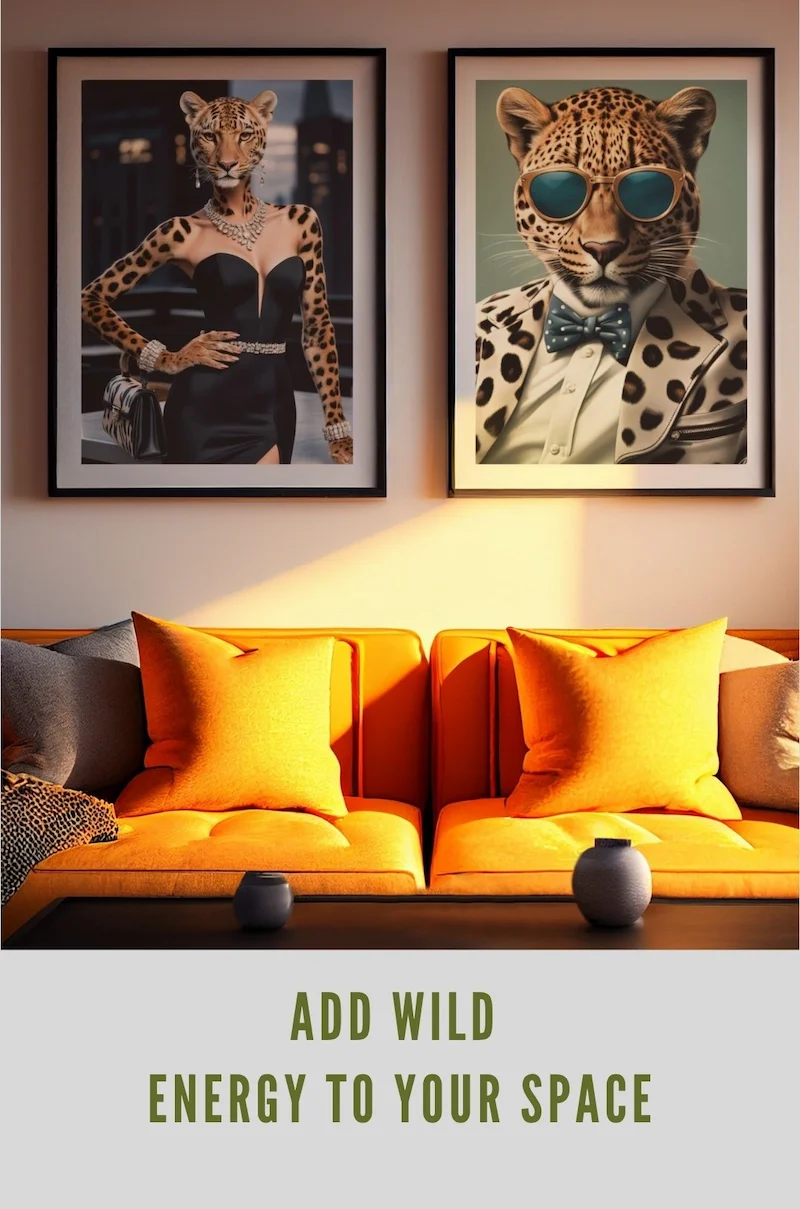 Collection: Cool Cats